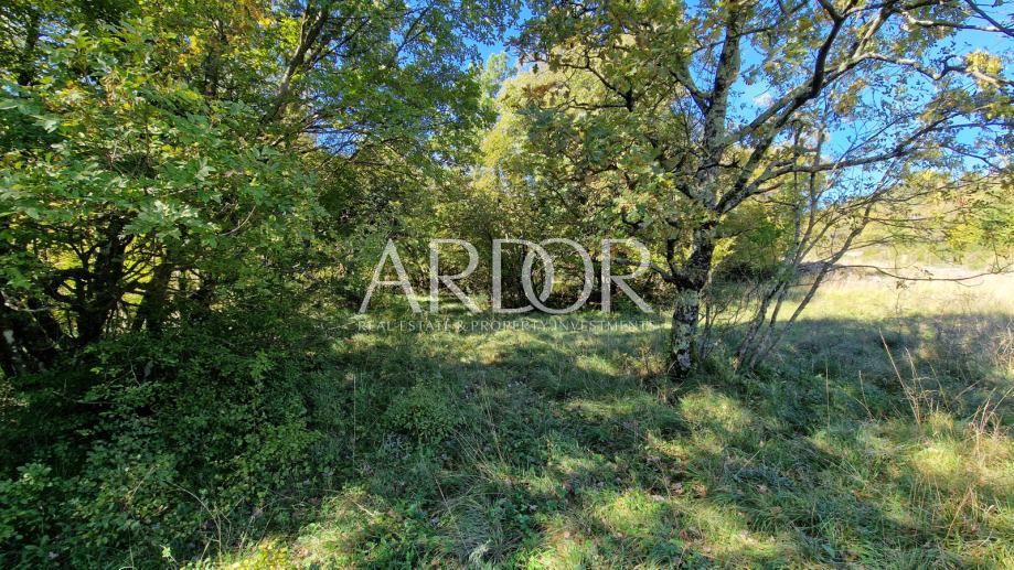 Zemljišče Čavle, 5.292m2