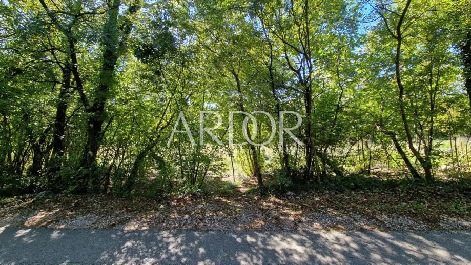 Zemljišče Čavle, 5.292m2