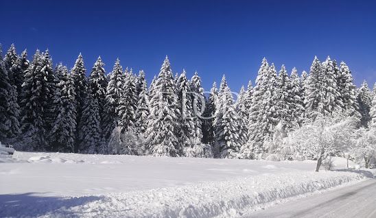 Zemljišče Sunger, Mrkopalj, 18.000m2