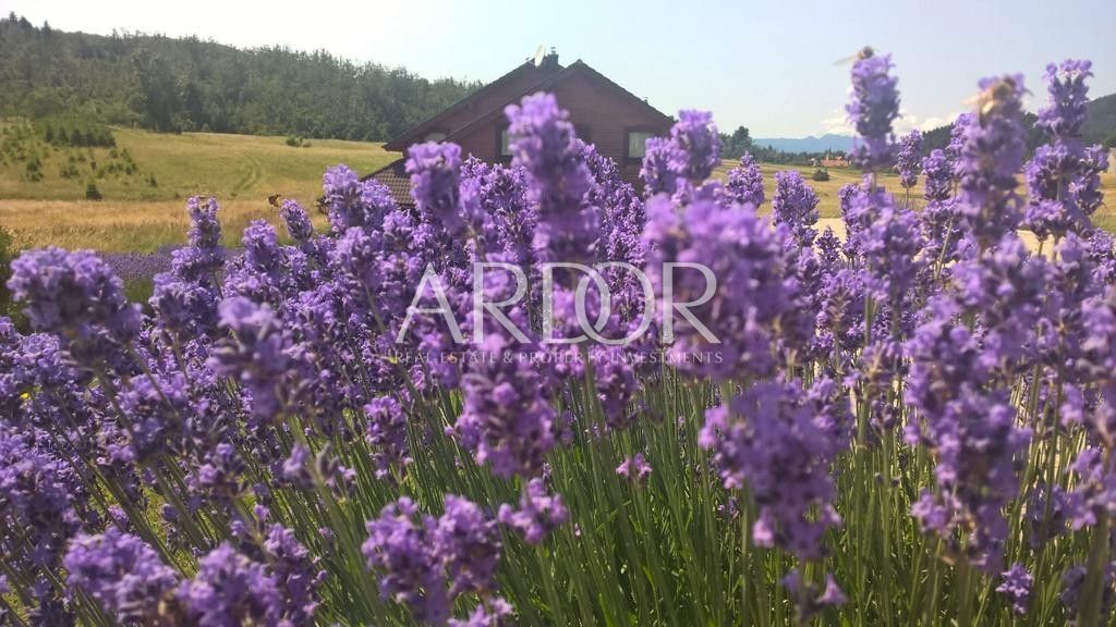 Hiša Sunger, Mrkopalj, 400m2