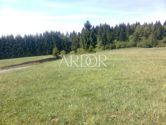 Zemljišče Skrad, 4.193m2
