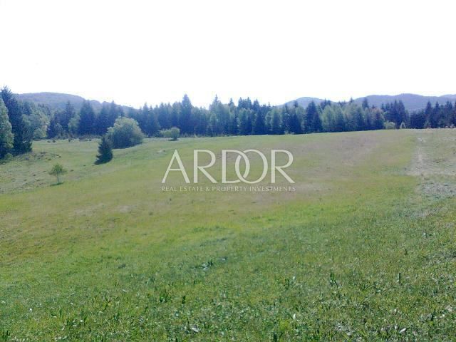 Zemljišče Skrad, 4.193m2