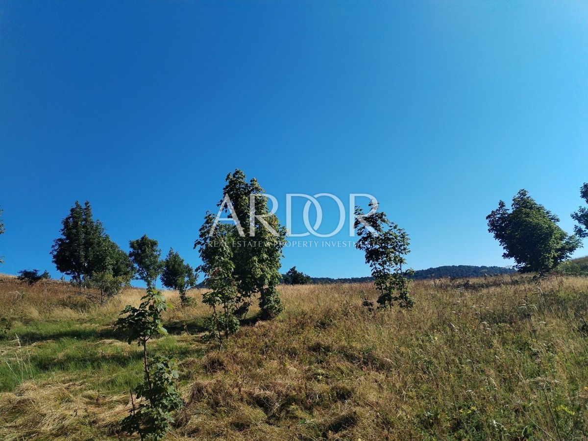 Zemljišče Begovo Razdolje, Mrkopalj, 5.000m2