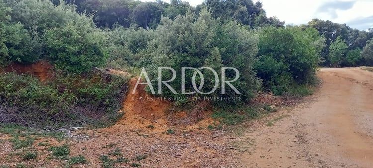 Zemljišče Ustrine, Mali Lošinj, 5.401m2