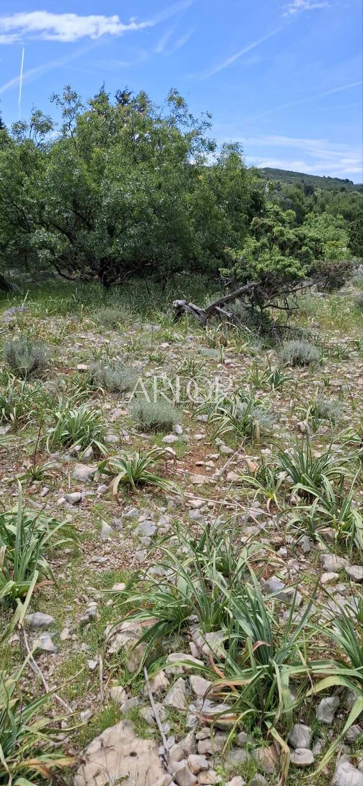 Zemljišče Barbat na Rabu, Rab, 2.377m2