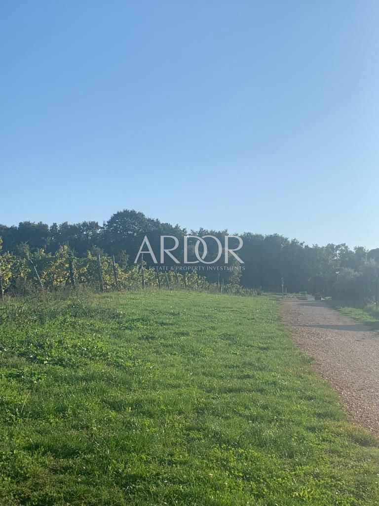 Zemljišče Butoniga, Pazin - Okolica, 44.000m2