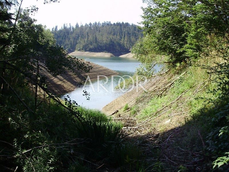 Zemljišče Homer, Lokve, 62.500m2