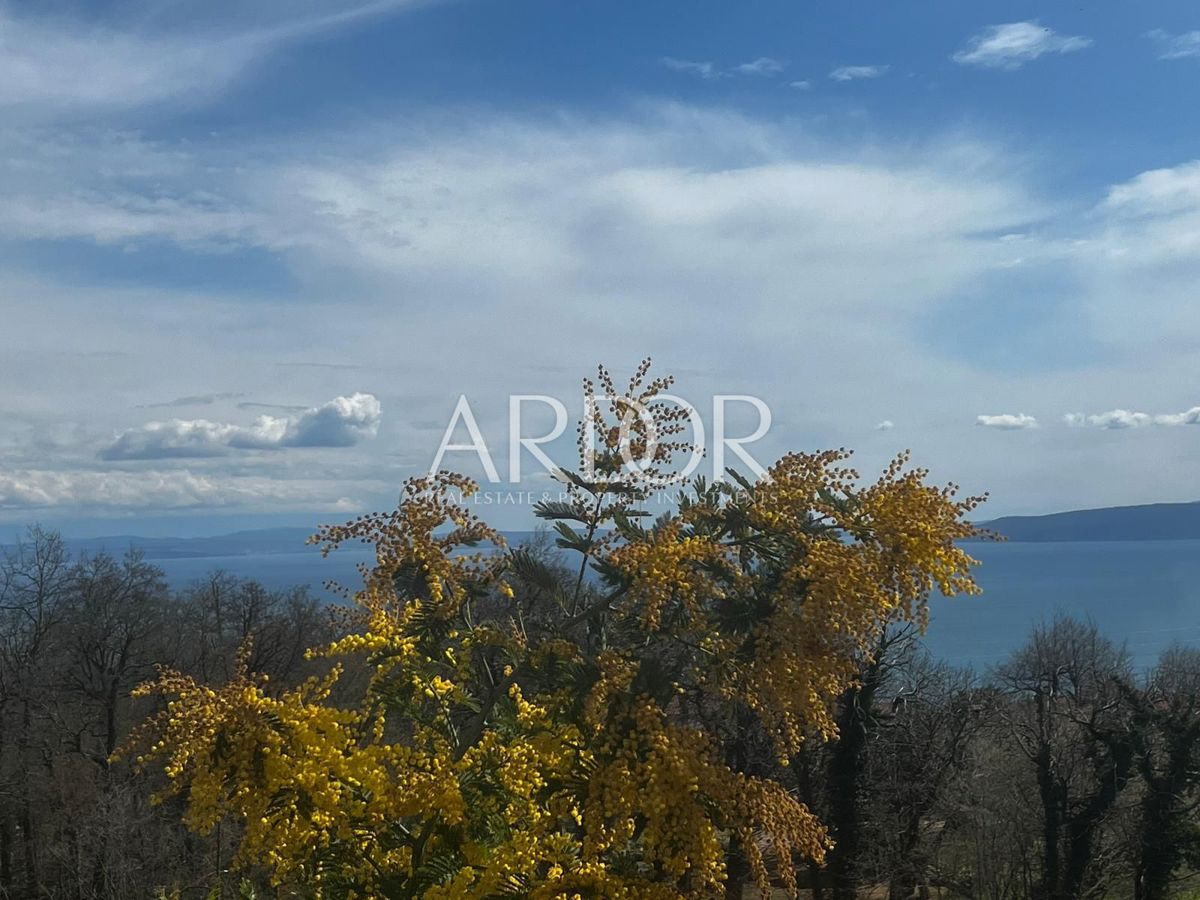 Hiša Poljane, Opatija - Okolica, 567m2