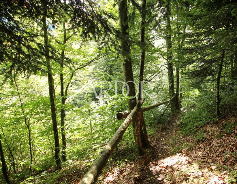 Zemljišče Lokve, 2.521m2