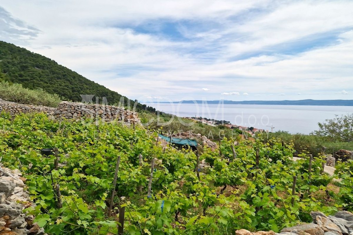 Kmetijsko zemljišče s hišo in odprtim razgledom, Brač