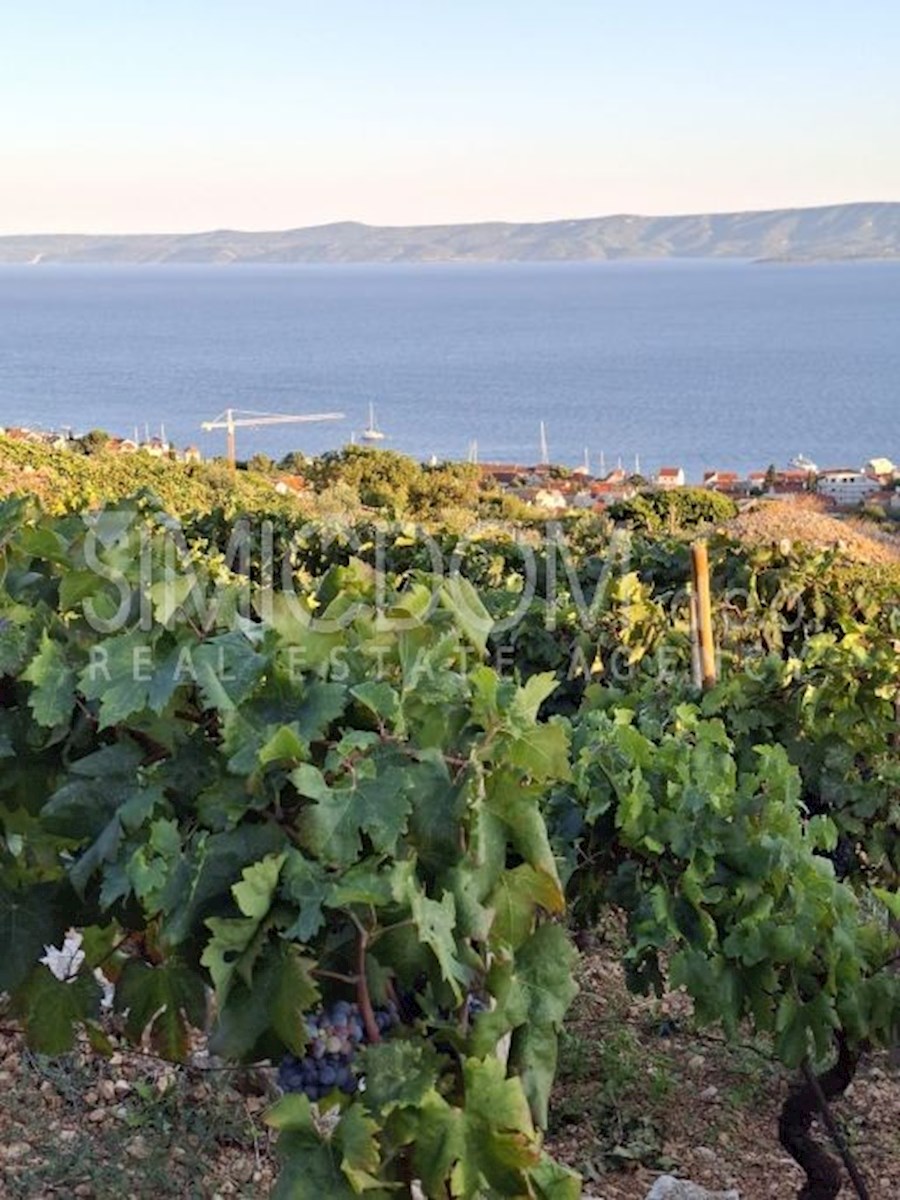 Kmetijsko zemljišče s hišo in odprtim razgledom, Brač