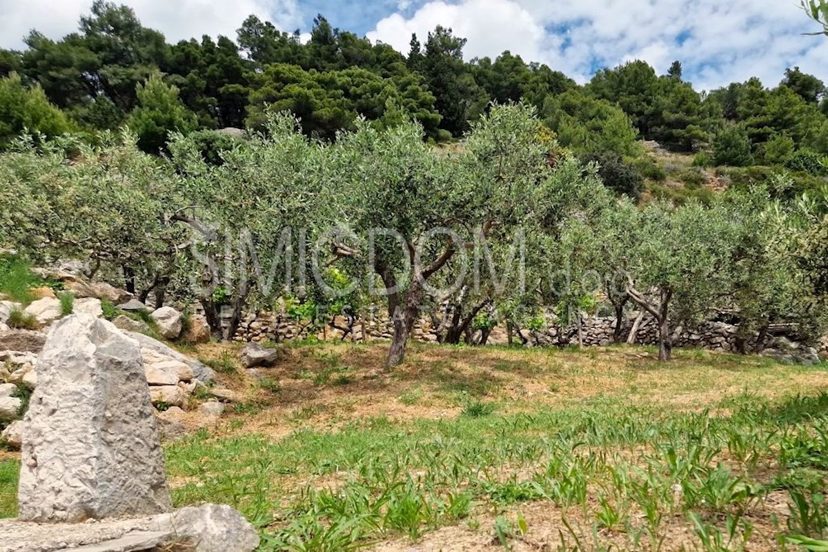 Kmetijsko zemljišče s hišo in odprtim razgledom, Brač