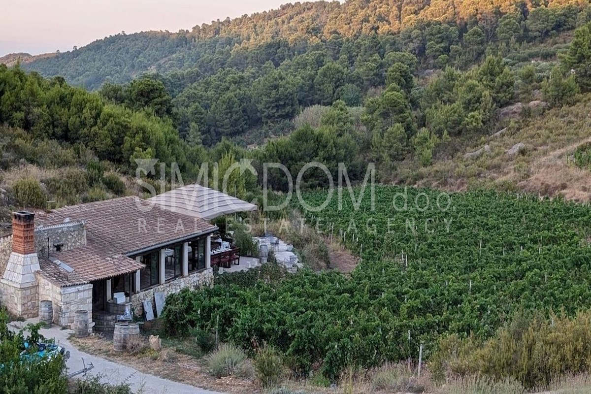 Prostorna obdelana posest z restavracijo, Vis