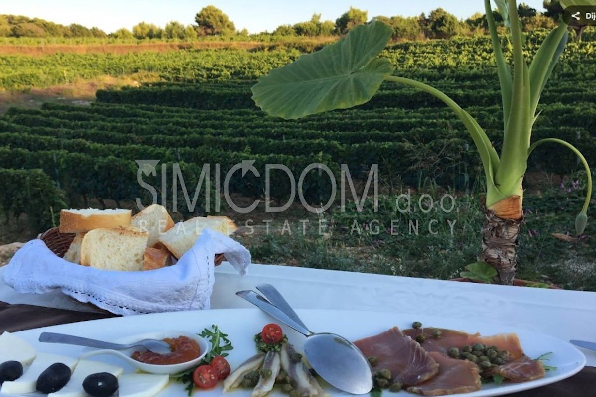 Prostorna obdelana posest z restavracijo, Vis