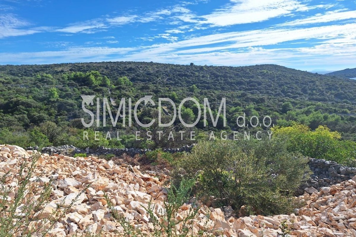 Kmetijsko zemljišče z razgledom, Sevid