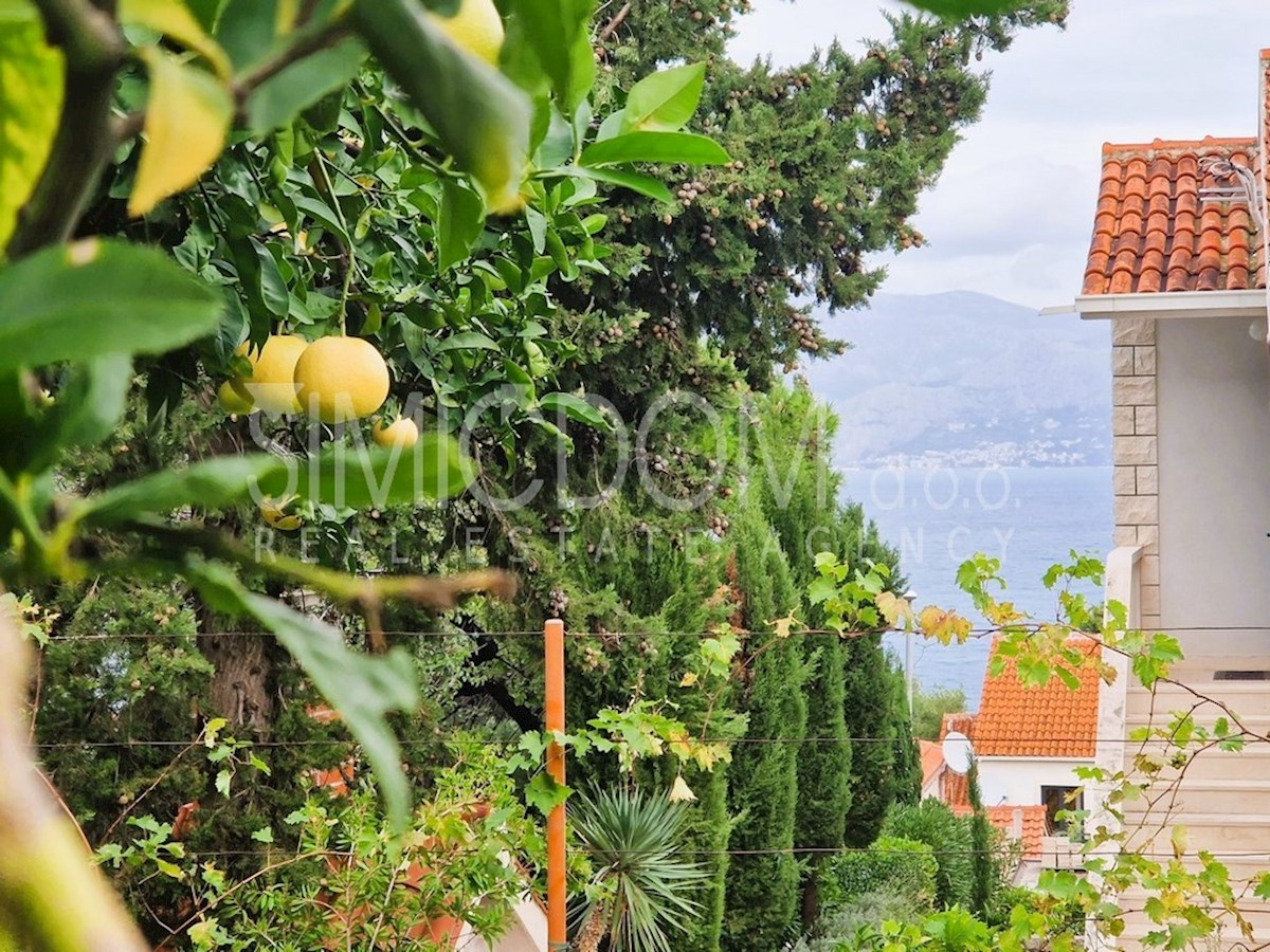 Očarljiva hiša s prostornim vrtom na prodaj, Brač