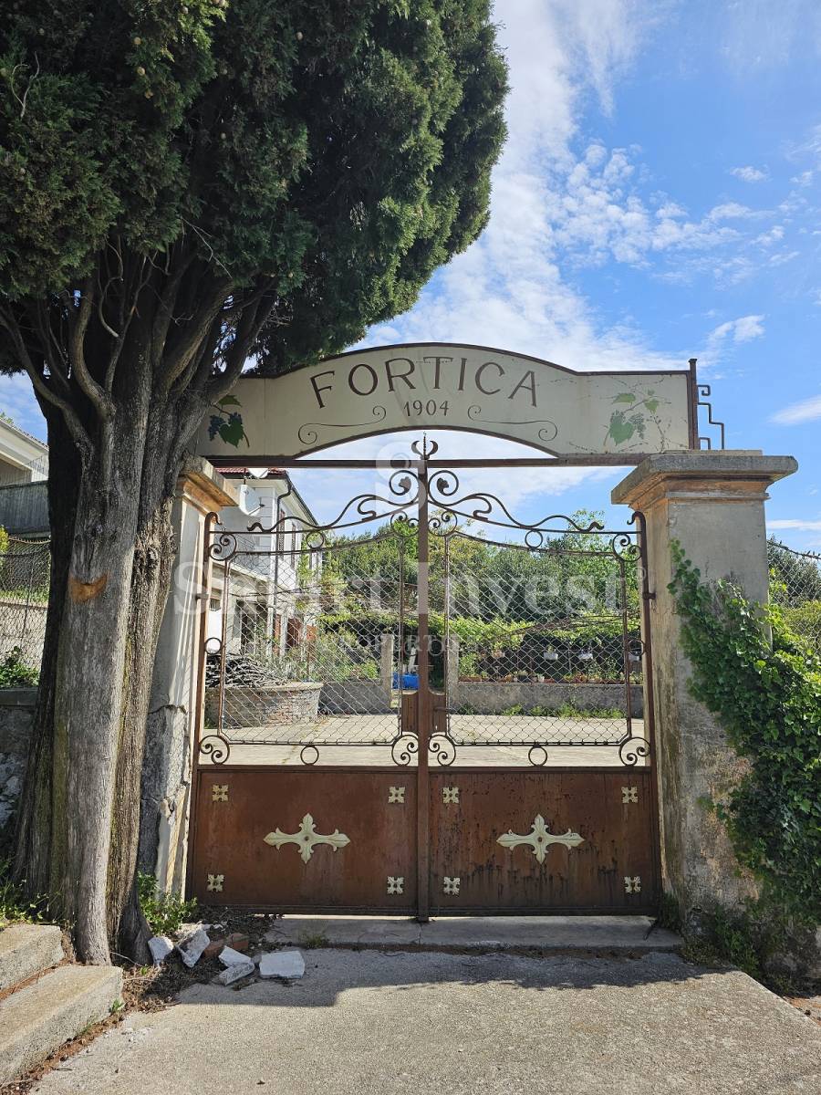OPATIJA, zgodovinska vila z velikim vrtom in pogledom na morje