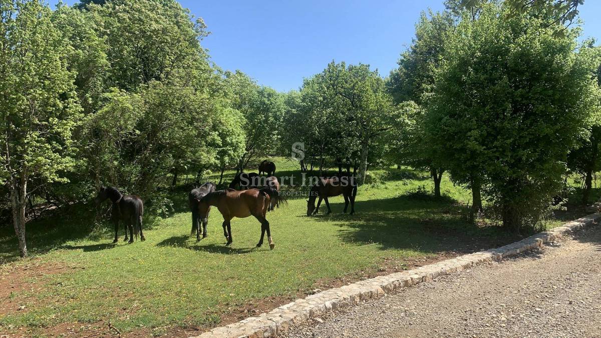 OPATIJSKA RIVIERA, edinstven kompleks vil na 54.000 m2
