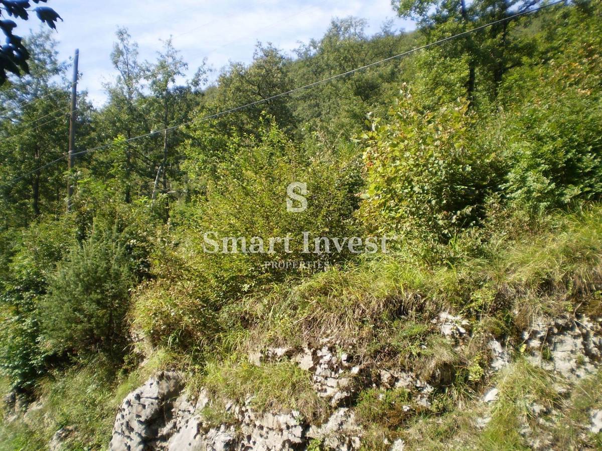 Zemljišče Veprinac, Opatija - Okolica, 6.000m2