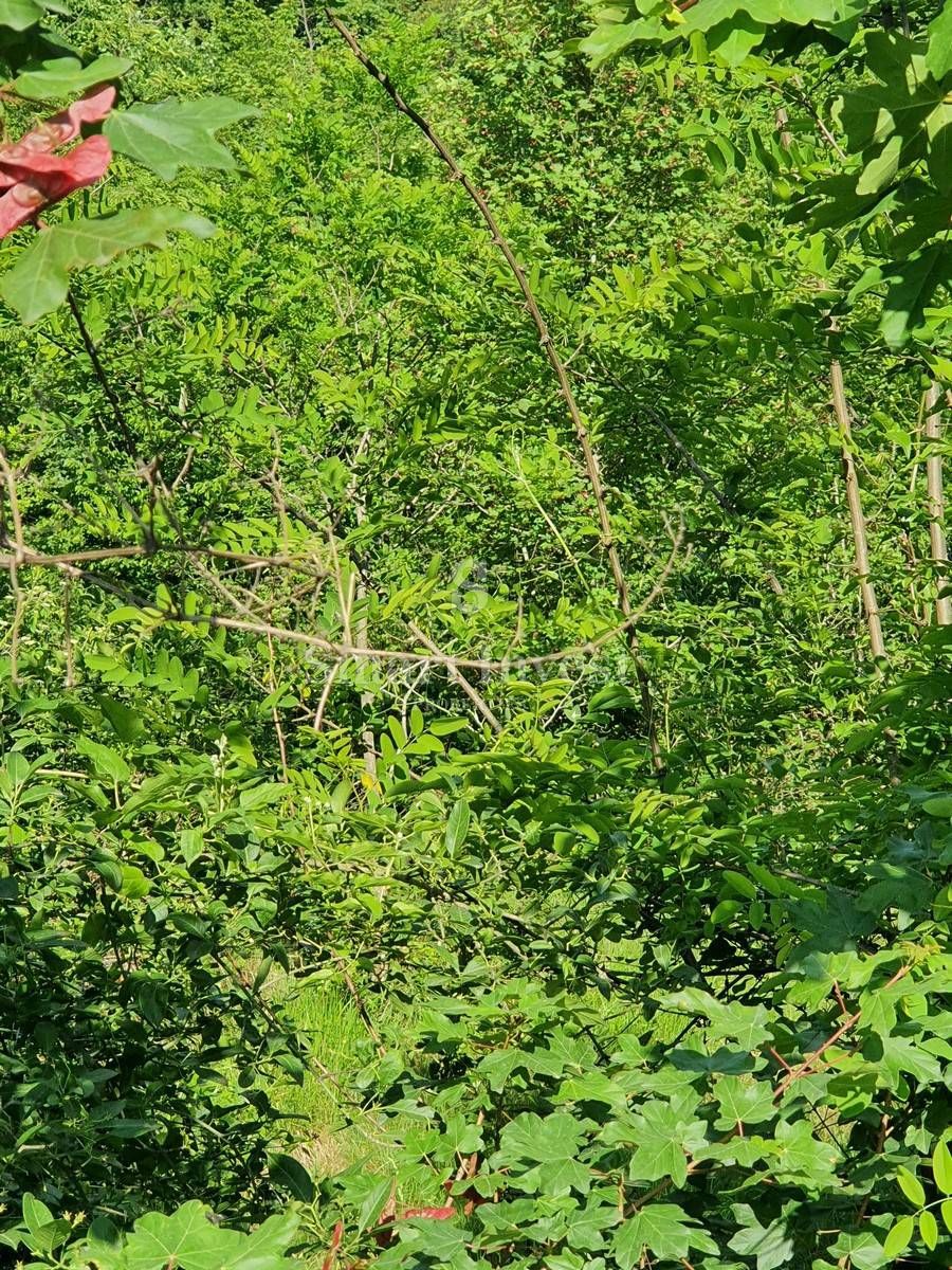 Zemljišče Permani, Matulji, 6.422m2