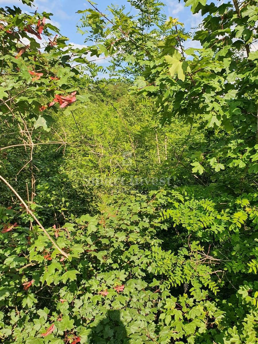 Zemljišče Permani, Matulji, 6.422m2