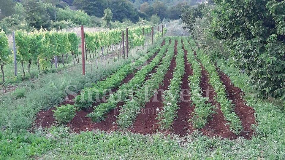 ISTRIA - RABAC, Estate of 27.800 m2 with an old stone house, 4 km to the sea