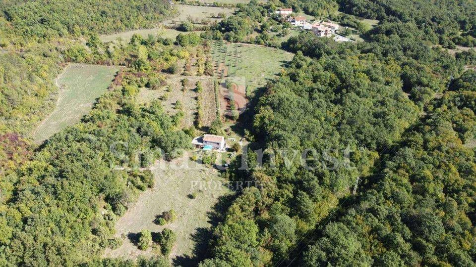 ISTRIA - RABAC, Estate of 27.800 m2 with an old stone house, 4 km to the sea