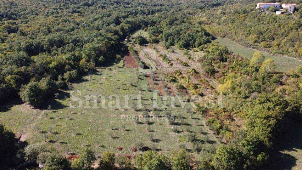ISTRIA - RABAC, Estate of 27.800 m2 with an old stone house, 4 km to the sea