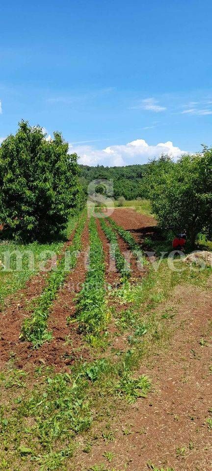 ISTRIA - RABAC, Estate of 27.800 m2 with an old stone house, 4 km to the sea