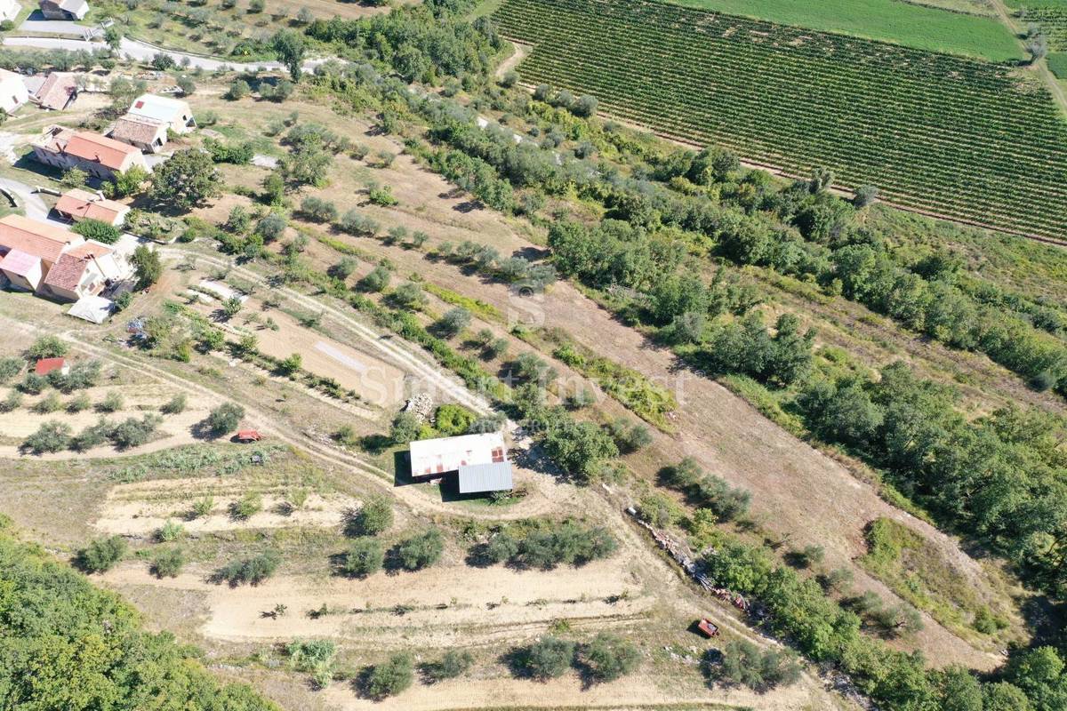 ISTRA - BUJE, stare hiše na zemljišču 16.691 m2 ob slovenski meji