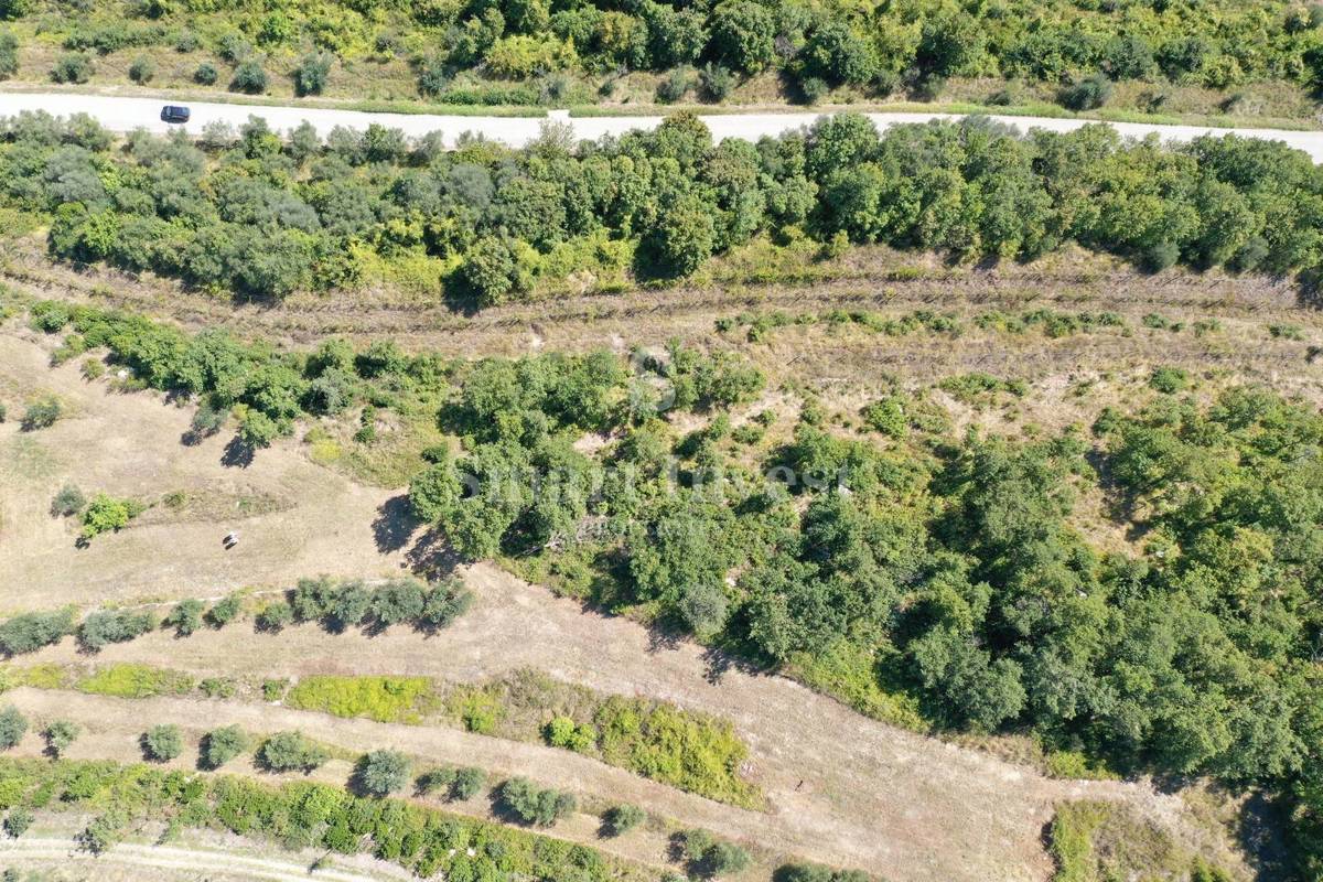 ISTRA - BUJE, stare hiše na zemljišču 16.691 m2 ob slovenski meji