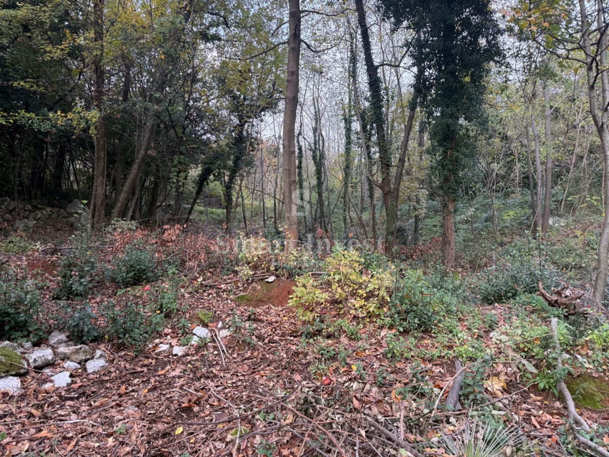 IKA - OPRIĆ, hiša s pogledom na morje in prostornim vrtom