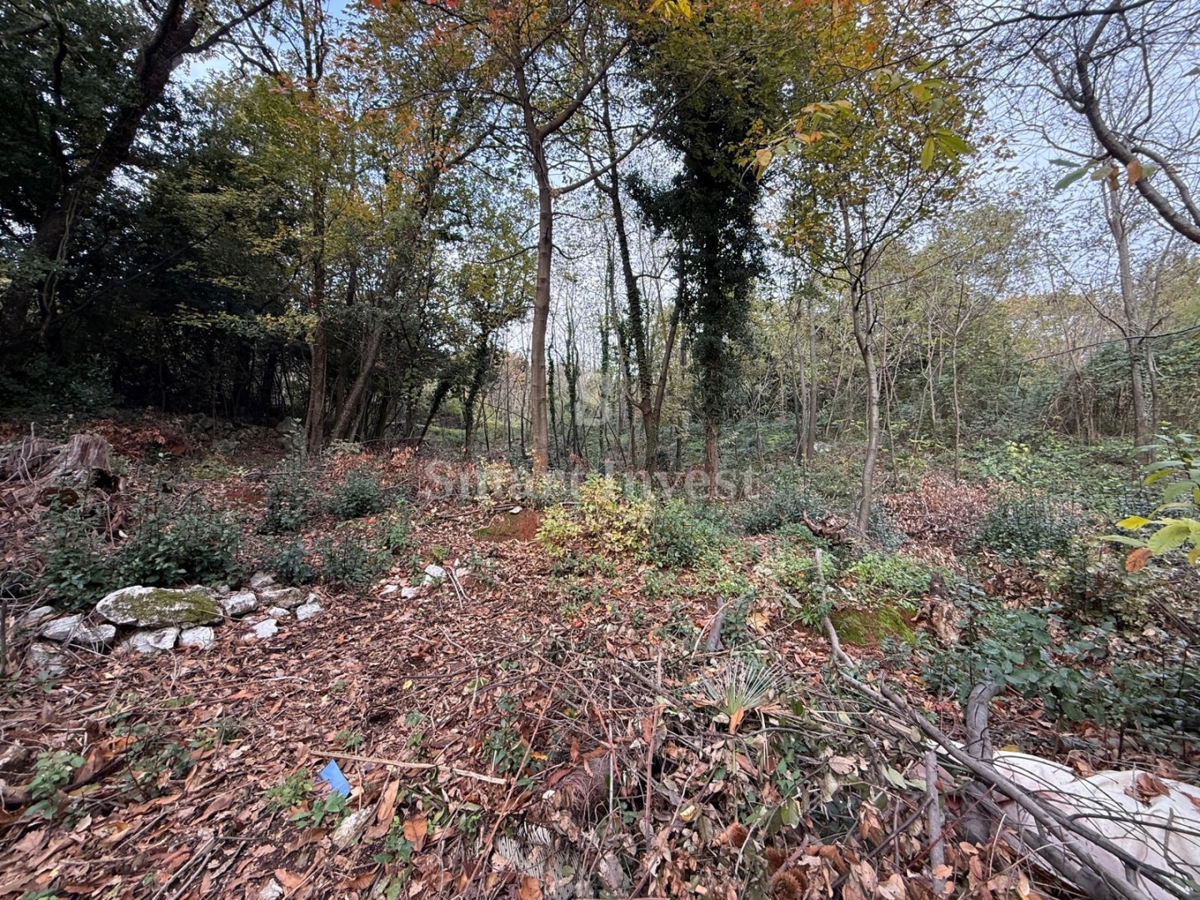 IKA - OPRIĆ, hiša s pogledom na morje in prostornim vrtom