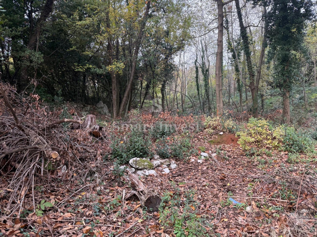 IKA - OPRIĆ, hiša s pogledom na morje in prostornim vrtom