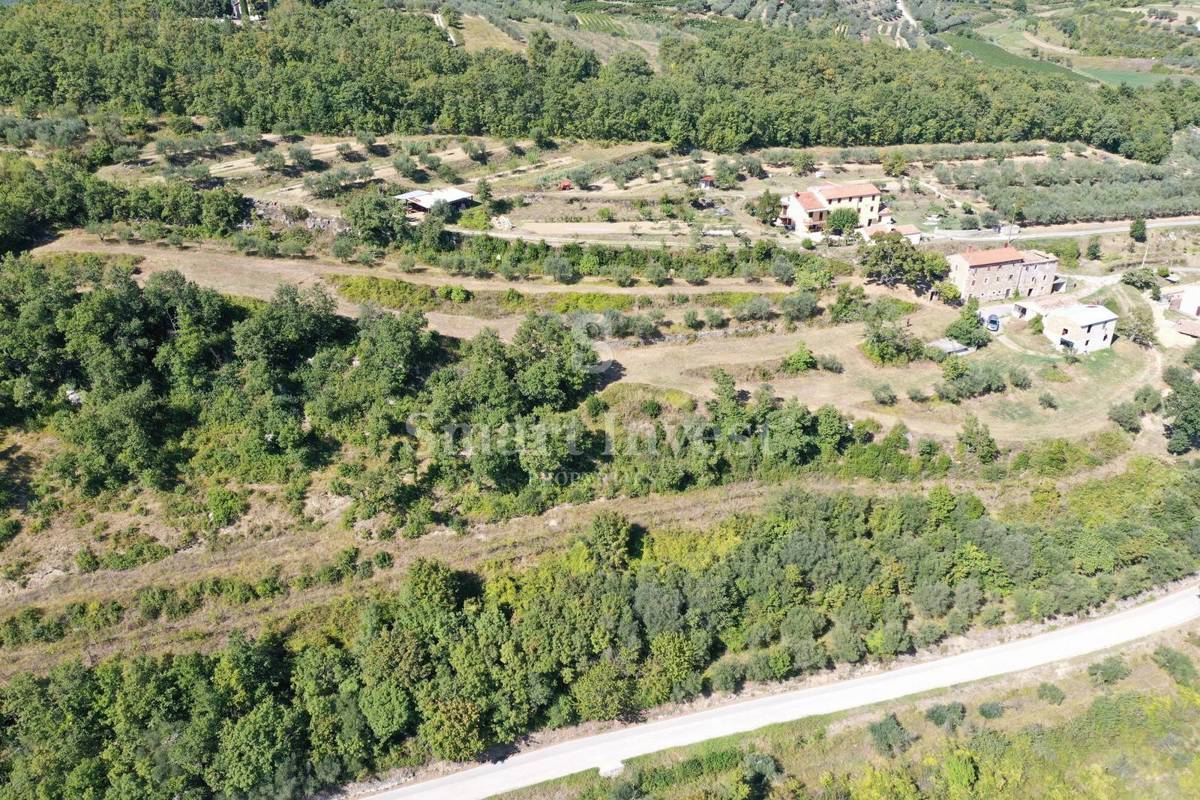 ISTRA - BUJE, stare hiše na zemljišču 16.691 m2 ob slovenski meji