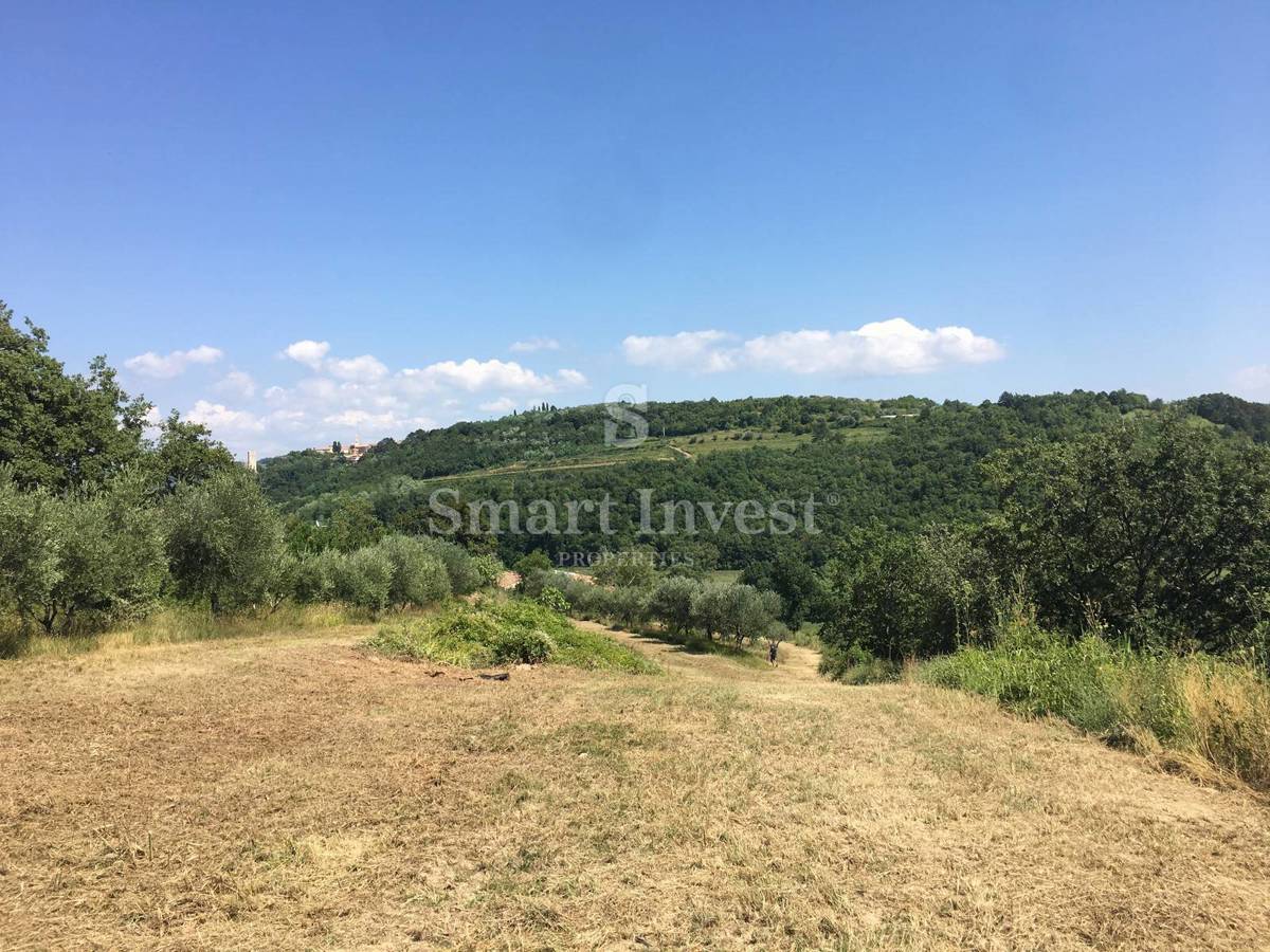 ISTRA - BUJE, stare hiše na zemljišču 16.691 m2 ob slovenski meji