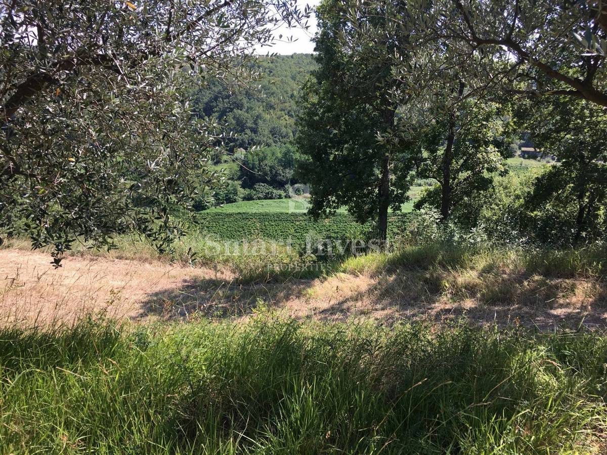 ISTRA - BUJE, stare hiše na zemljišču 16.691 m2 ob slovenski meji