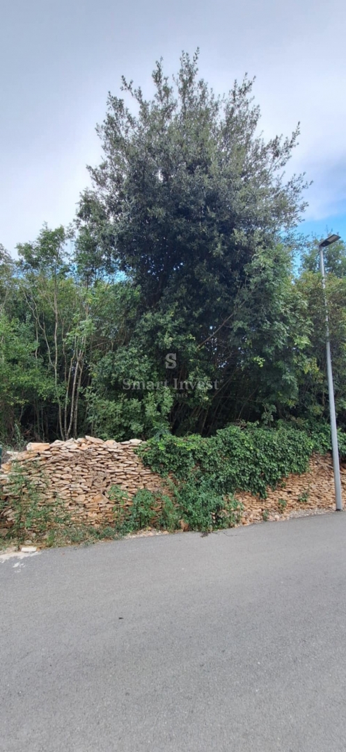 ISTRA - MEDULIN, zemljišče velikosti 2900 m2 za gradnjo stanovanj