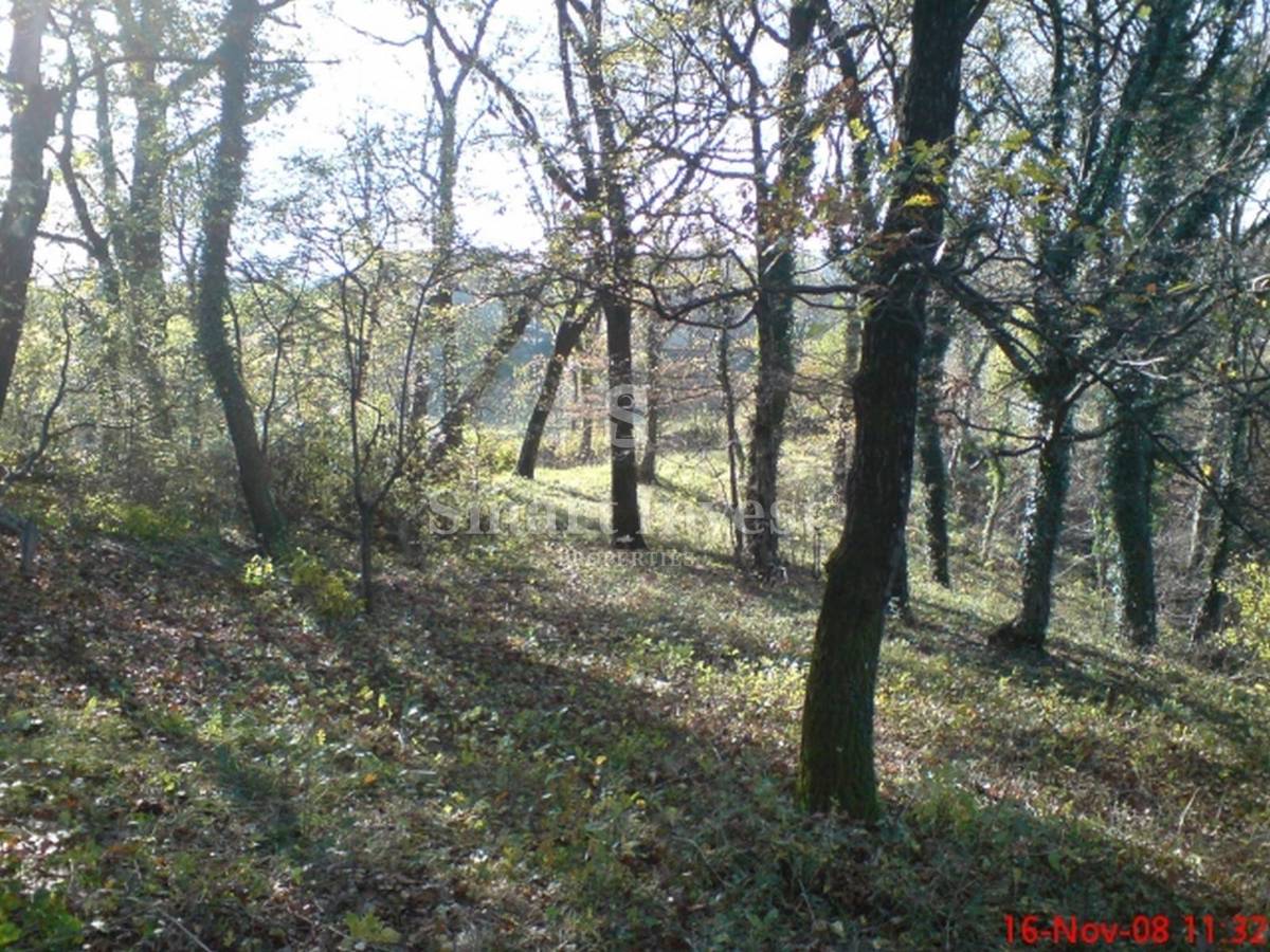 Zemljišče Cernik, Čavle, 1.724m2