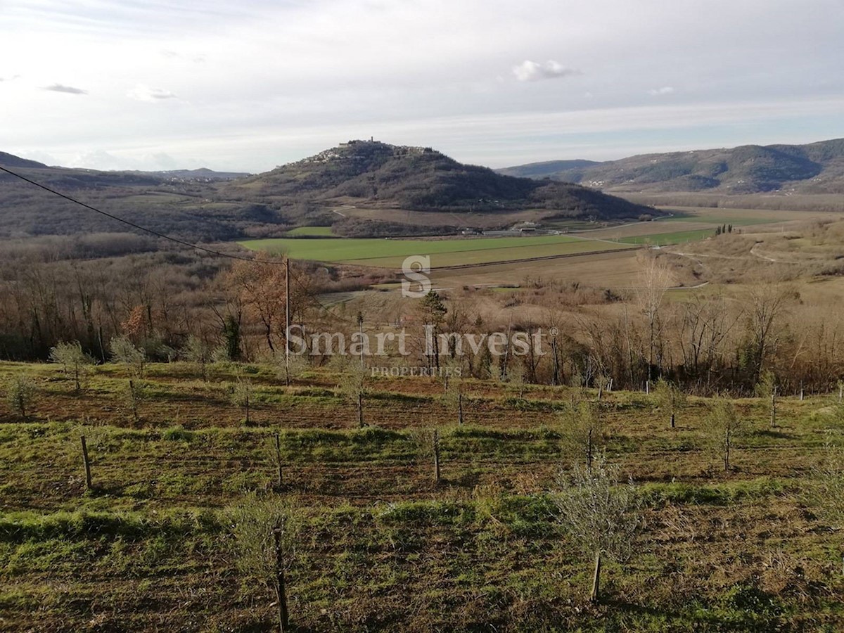 ISTRIA - MOTOVUN, Land of 53.940 m2