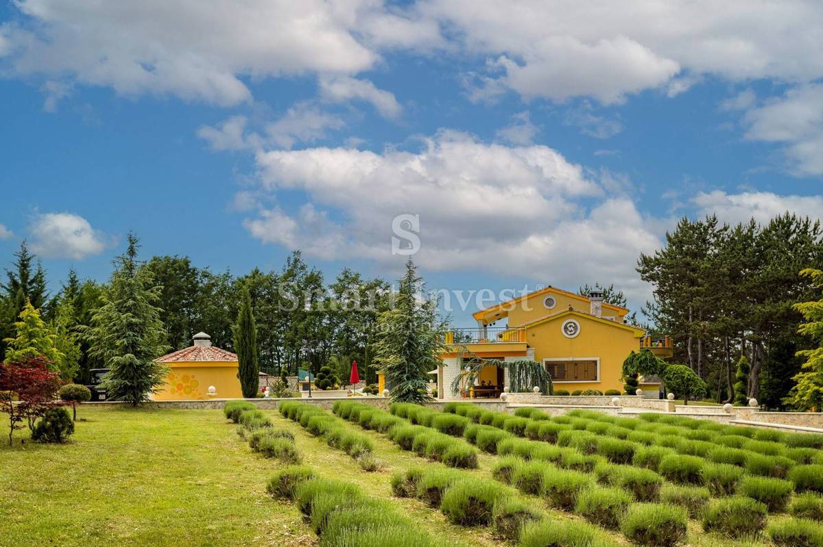 ISTRA - ŽMINJ, Edinstvena vila z zemljiščem 43.266 m2, prodamo