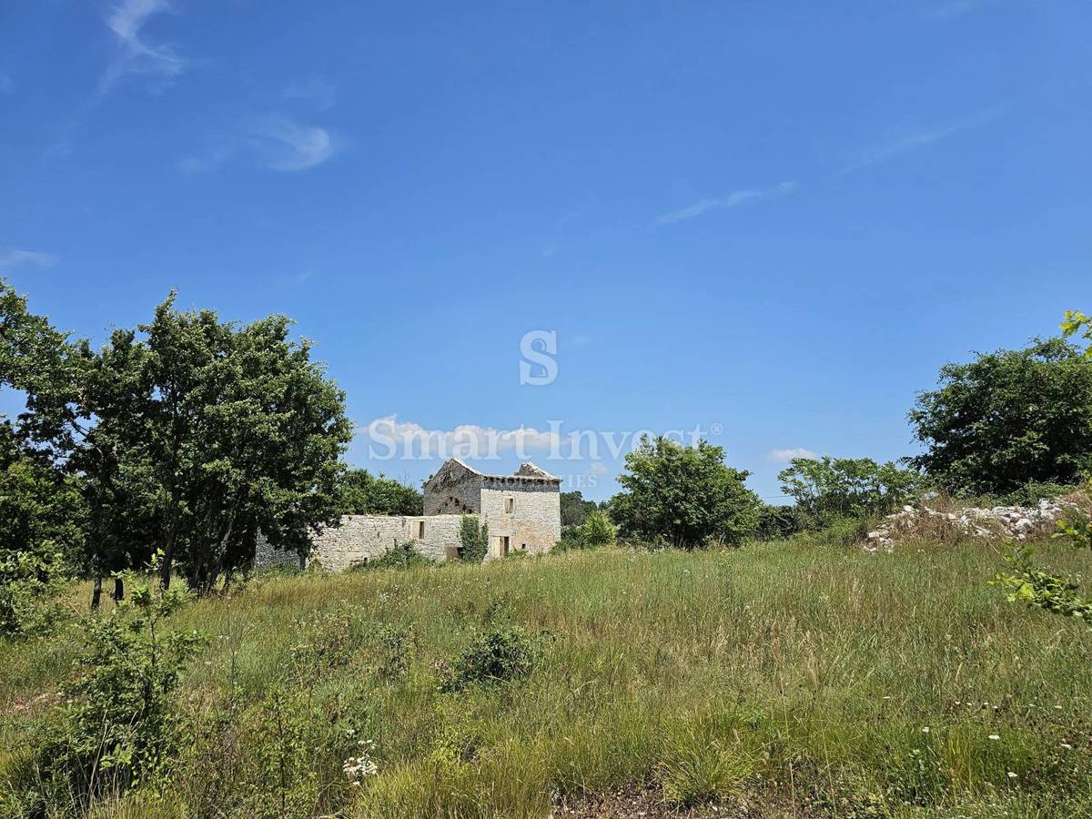 Zemljišče Cukrići, Svetvinčenat, 6.133m2