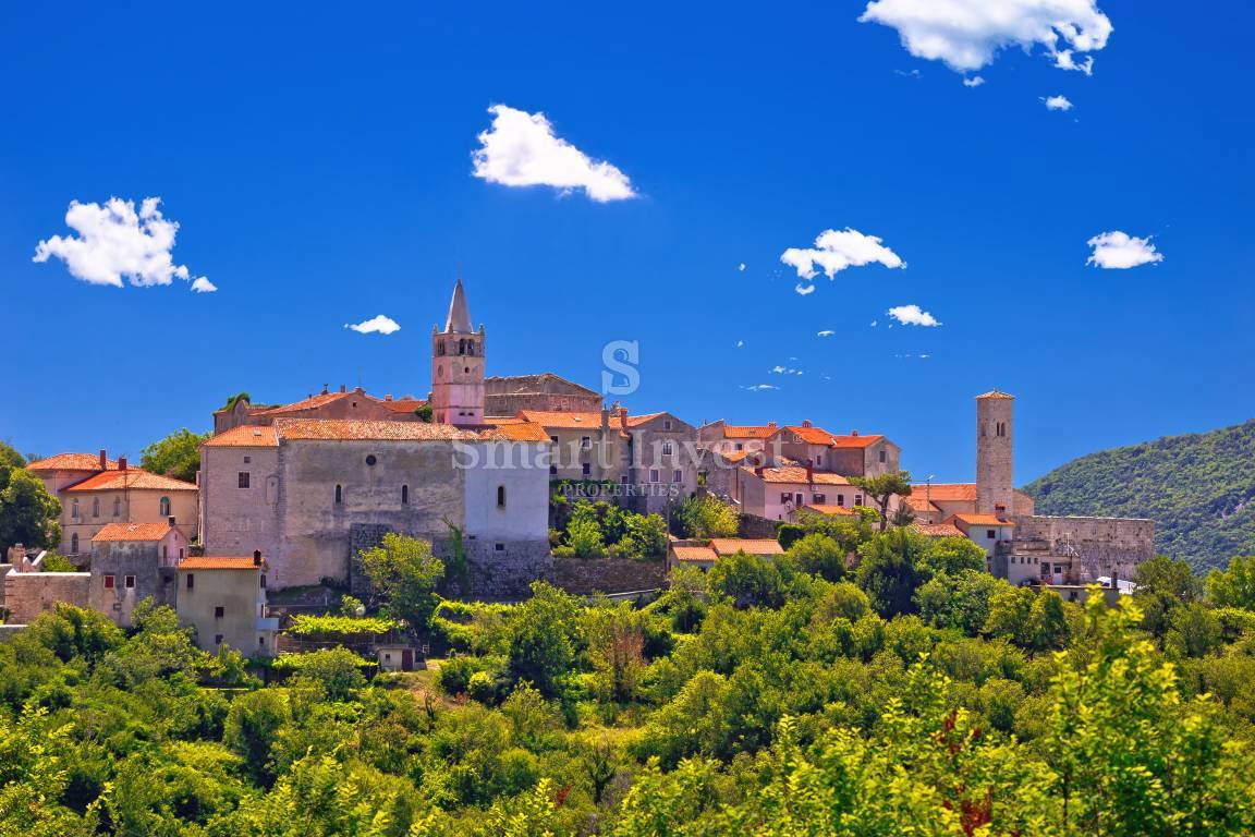 ISTRA - PLOMIN, hiša 270 m2, poslovno stanovanjska možnost