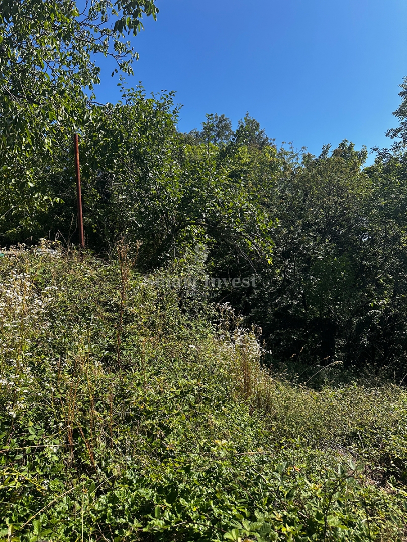 MATULJI - RUKAVAC, stara polpritlična hiša na mirni lokaciji!