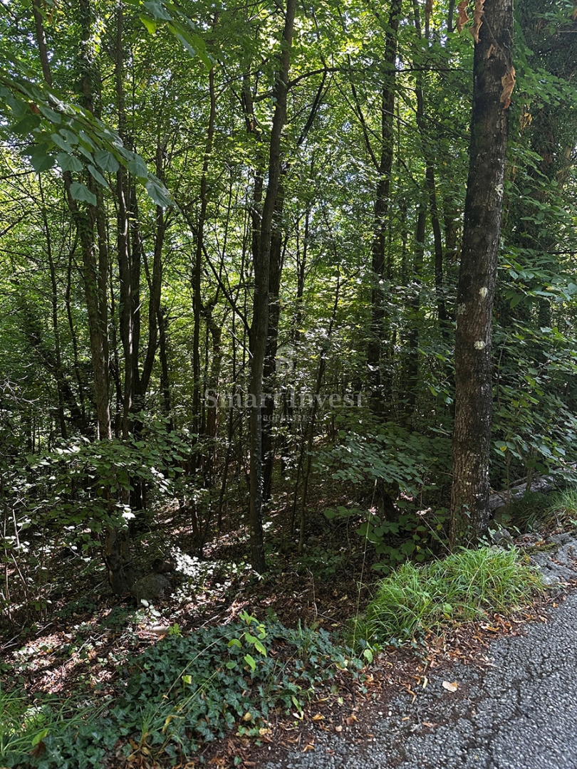 MATULJI - RUKAVAC, stara polpritlična hiša na mirni lokaciji!