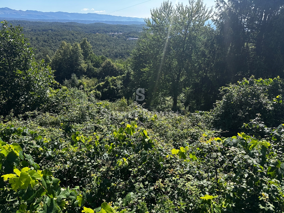 MATULJI - RUKAVAC, stara polpritlična hiša na mirni lokaciji!