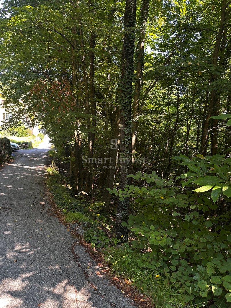 MATULJI - RUKAVAC, stara polpritlična hiša na mirni lokaciji!