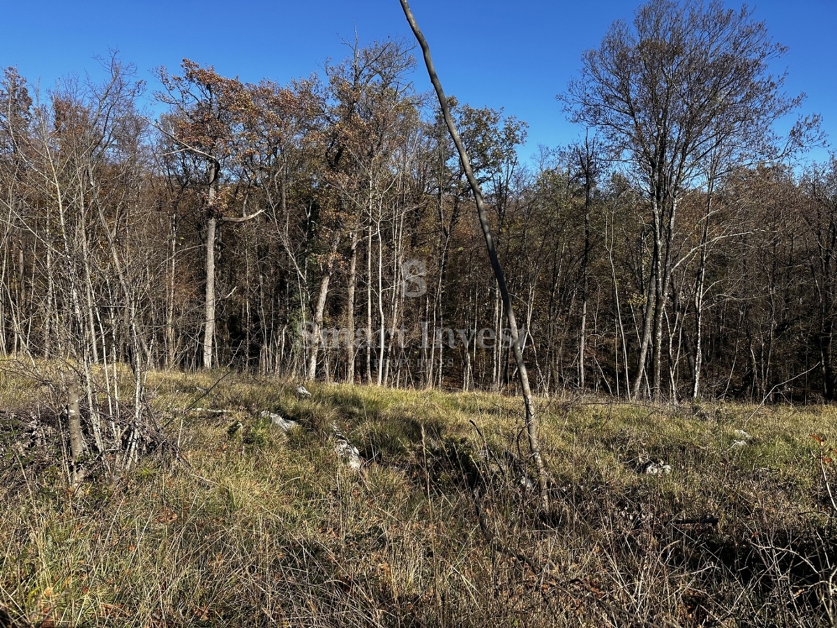 Zemljišče Žegoti, Kastav, 604m2