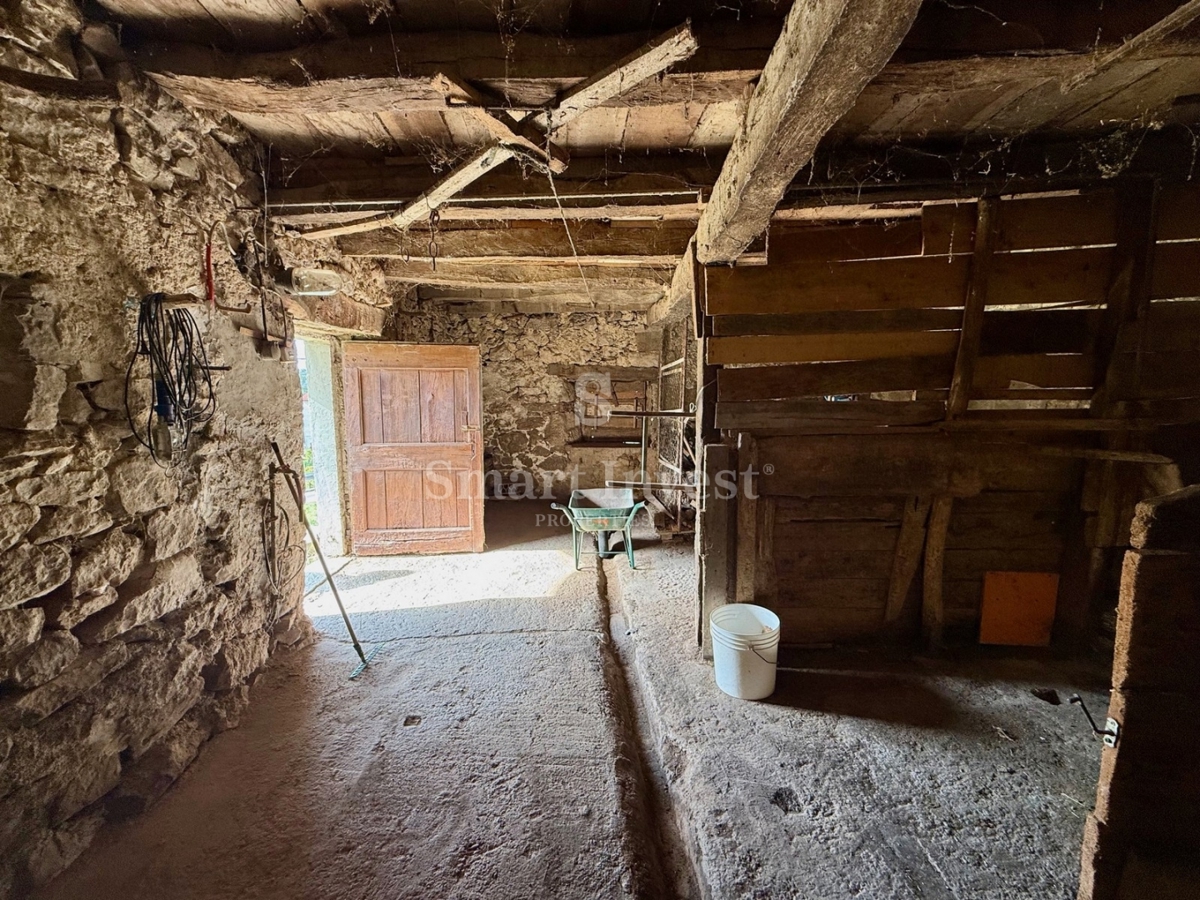 Hiša Brnobići, Buzet, 250m2