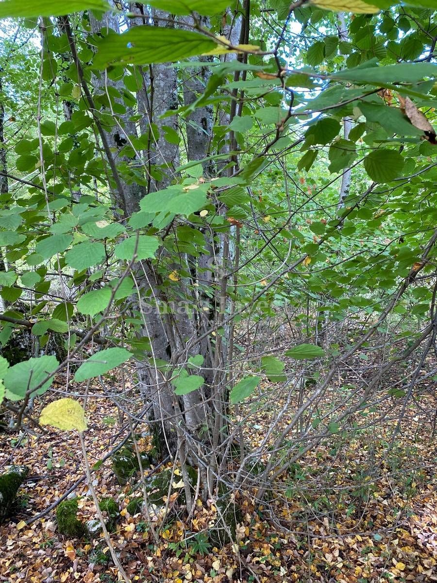 Zemljišče Permani, Matulji, 1.410m2